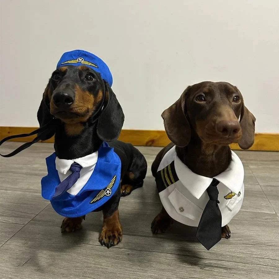 Puppies Flight School
